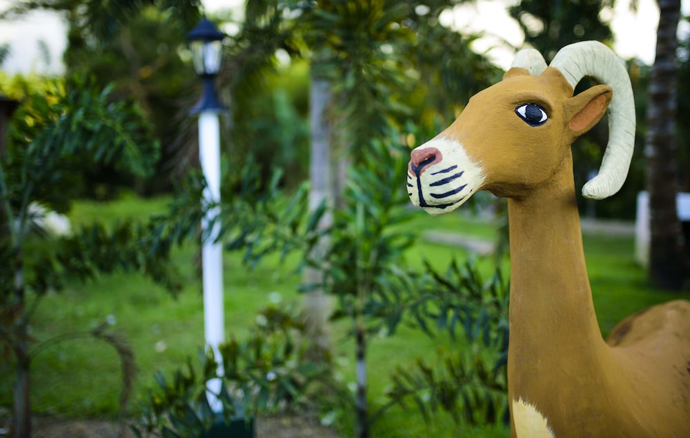 Freedom Eco Adventure Park by Cocotel