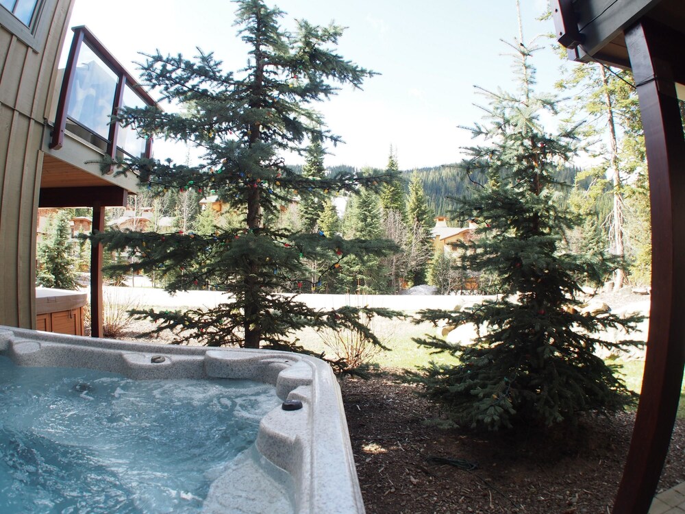 Trappers Landing 01 By Bear Country in 2023 Updated prices, deals Klook United States