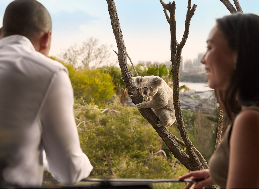 Wildlife Retreat at Taronga