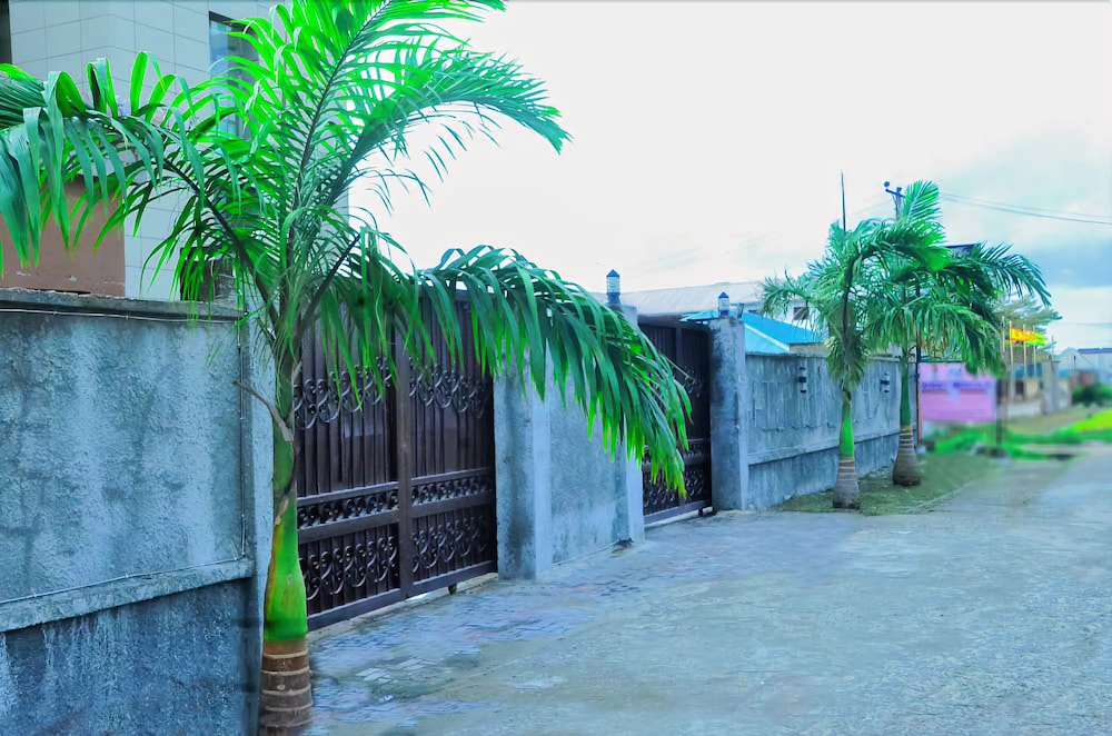 Ocean Ripples Hotel Water Ripples Hotel in Lagos | 2024 Updated prices, deals - Klook ...