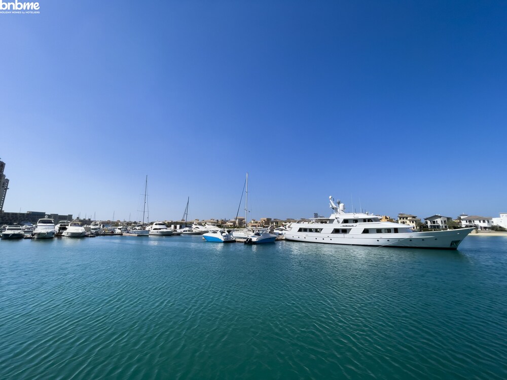 bnbme | Tiara Tanzanite | 1 BDR