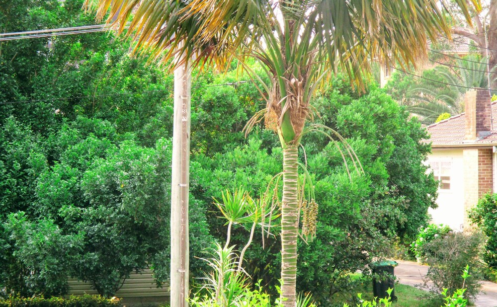 Hotels in Central Coast