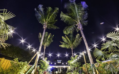 Siesta Key Palms Resort