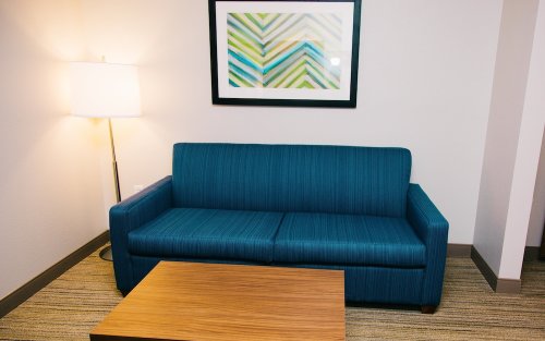 Holiday Inn Express & Suites Tampa USF Busch Gardens by IHG